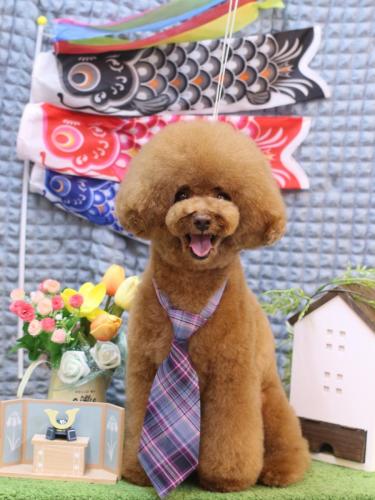 20230527こじろうくん